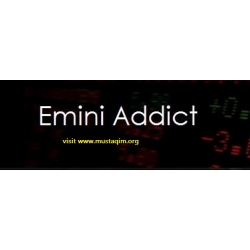 Emini Addict 36 Hours Full Live Trading Sessions (Total size: 28.48 GB Contains: 210 files)